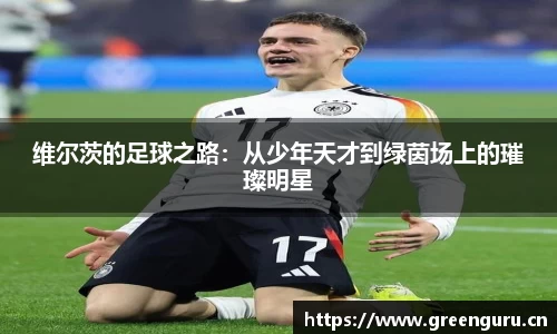 维尔茨的足球之路：从少年天才到绿茵场上的璀璨明星