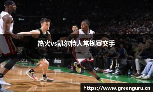 热火vs凯尔特人常规赛交手