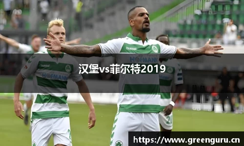 汉堡vs菲尔特2019