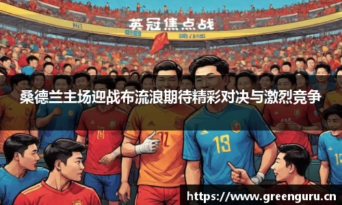 桑德兰主场迎战布流浪期待精彩对决与激烈竞争
