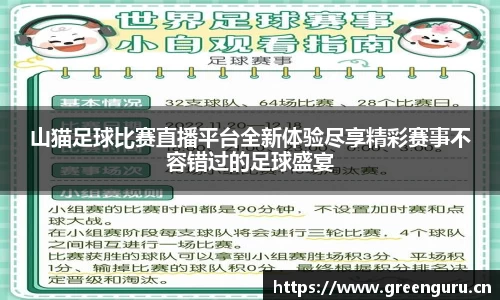 山猫足球比赛直播平台全新体验尽享精彩赛事不容错过的足球盛宴