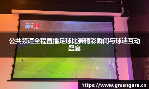 公共频道全程直播足球比赛精彩瞬间与球迷互动盛宴