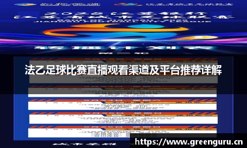 法乙足球比赛直播观看渠道及平台推荐详解