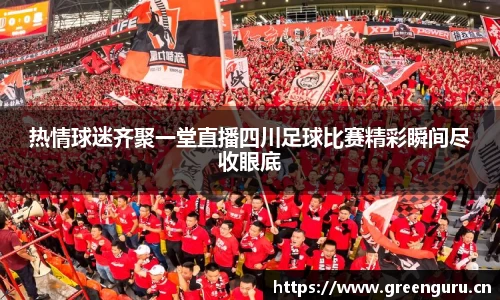 热情球迷齐聚一堂直播四川足球比赛精彩瞬间尽收眼底