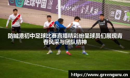 安信12娱乐